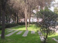 总府花园 3室1厅 东南 南