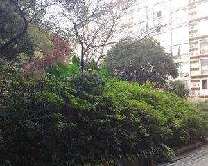 梅花庭园3室2厅西南
