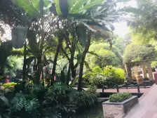 枫林秀水 跃层 南北向 2楼洋房 住家安静 出行方便