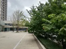 西藏北路·新湖青蓝国际·3室·2厅