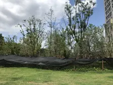 臻邸101中楼层 纯毛坯 交通配套齐全 视野开阔