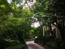 嘉定新城·阳光城新界·2室·2厅
