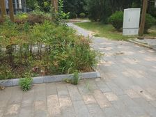 川沙·贝越水岸名邸·4室·2厅