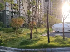 凯旋公馆的毛坯房,通透户型,采光好。