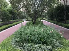 近地铁 刚需上车 精装 通风好,新上房源