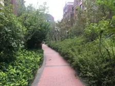 鲁河电采光充足,全明户型,贾梯双气小洋房,