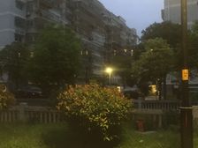 公园二村 一楼带院子 配套齐全 交通便利