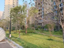 外国语旁的小区,中间楼层,毛坯房出售,看房约起来