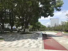 臻邸101精装诚心出售看房方便