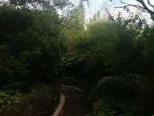 嘉闵线新成路站900米,低总价,隔两层,配套全