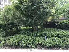 后排中高区,眼光视野好 开窗见绿