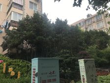 七宝·汇宝公寓·3室·2厅