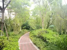 店长推荐+原来大平层的快乐,是“不用挤着过生活”