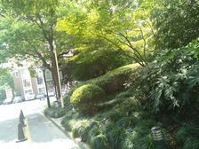 新上全南全明户型,全新自住装修未使用,欢迎实地看房