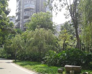 文星花园3室2厅南