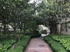 一楼带地下室带花园 万科物业 洋房大四房