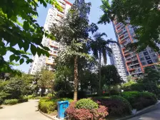 回兴 橙堡林正远景二房60万