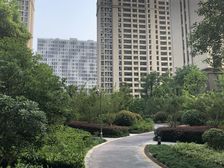 现场实勘,电梯房毛坯,热销好房