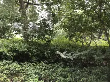 南北通三房+2014人车分流+带会所+满五+高区采光好