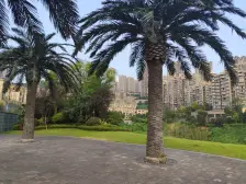 照母山半岛二期联头排+视野开阔+业主急售朝南看湖