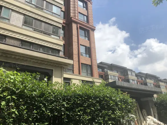 泰禾红御