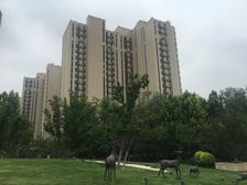 中国铁建花语金郡 2室1厅 西南