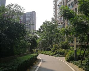 文星花园3室2厅南