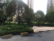 恒大华府精装三房 小区环境像花园