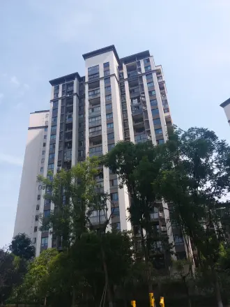 远洋高尔夫国际