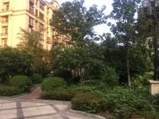 中高楼层,太阳采光好,简单装修。