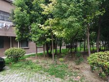 和煦园三期 非顶楼 采光户型好