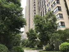 后排中高区,眼光视野好 开窗见绿