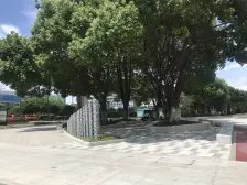 好楼层,朝南户型,全天采光,视野开阔