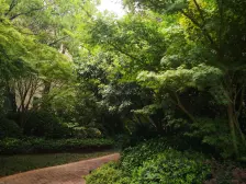 阳光城新界 2室2厅 南 北