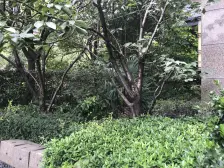 新上三房有车位!停车从此不受累!满五边套采光足!