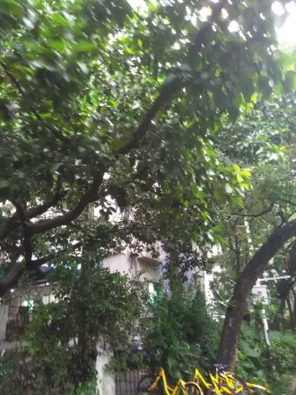 荟芳园