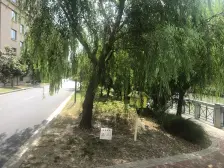 汇尊国际 2室1厅 南