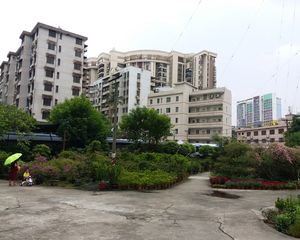 沁馥佳苑 电梯大平层五房 安静望小区 景观好