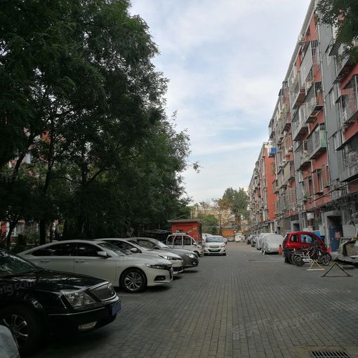 南顶村1室1厅1卫南朝向4200.00元/月出租