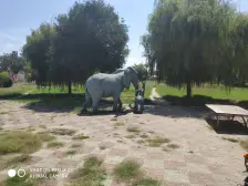 喜凤花园 2室1厅 南