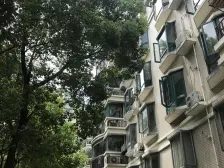 龙柏·金悦公寓·2室·2厅