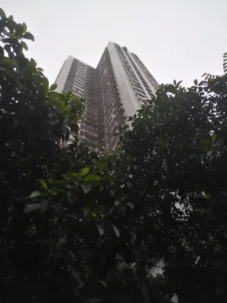 荟芳园