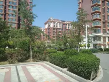 金海国际花园 3室2厅 南 北