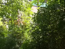 如果要观望,我建议你看完这个房子后再观望,一定不会让您失望!