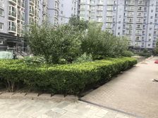 力度家园,通透两居室,双卫,电梯房,精装修
