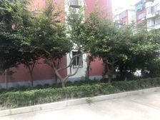 金桥·永业小区·1室·1厅