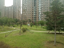 岭秀逸城大户型,160平,精装修,有地下车库