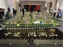 说多了都是泪啊,带着定金来看房,只要房子喜欢,出价J卖