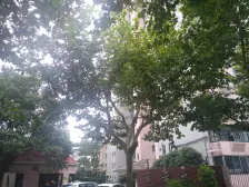 紫云好户型,单价低,朝南,全明,南北通。