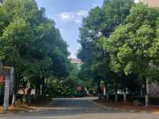 博苑象湖茗居 南北通透,采光好 视野好,诚心出售